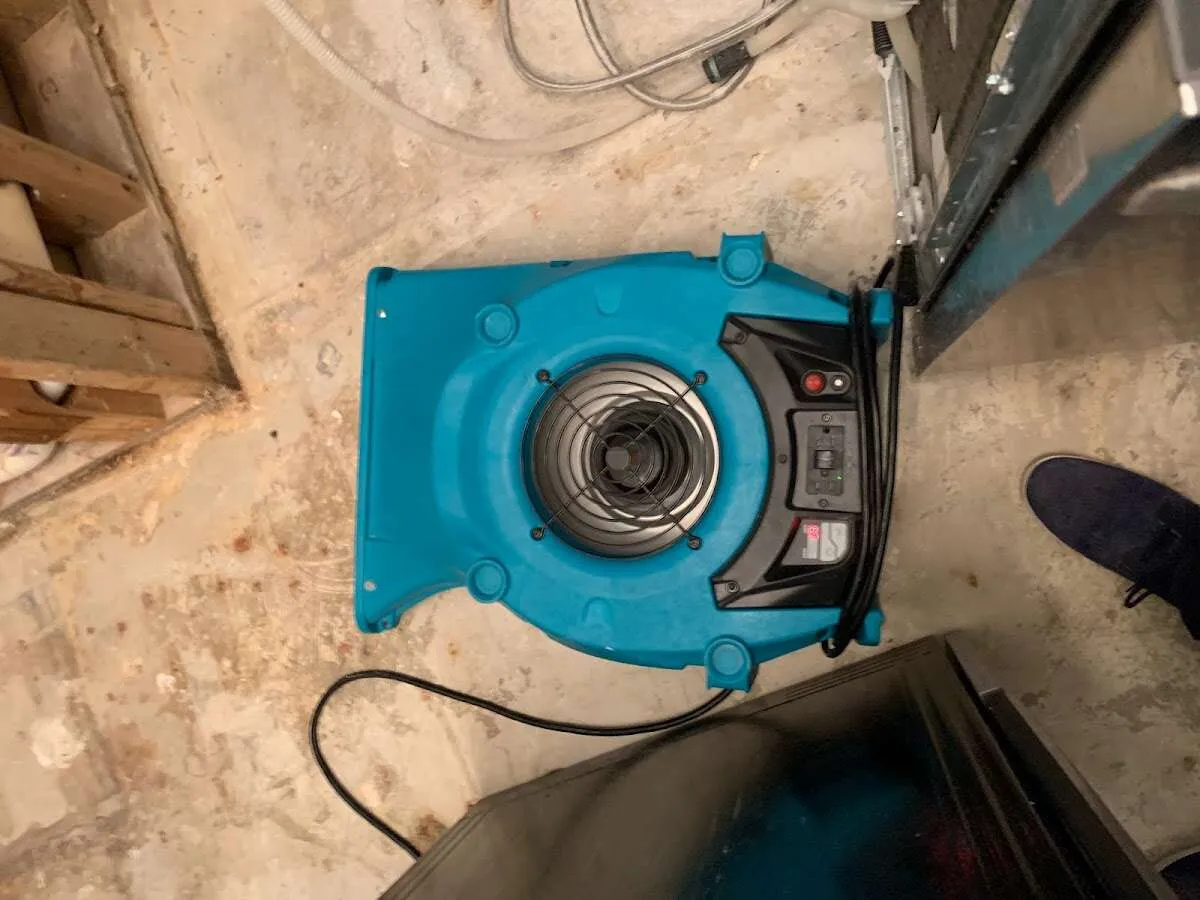 Air mover drying equipment for Mold Remediation & Removal in Olney