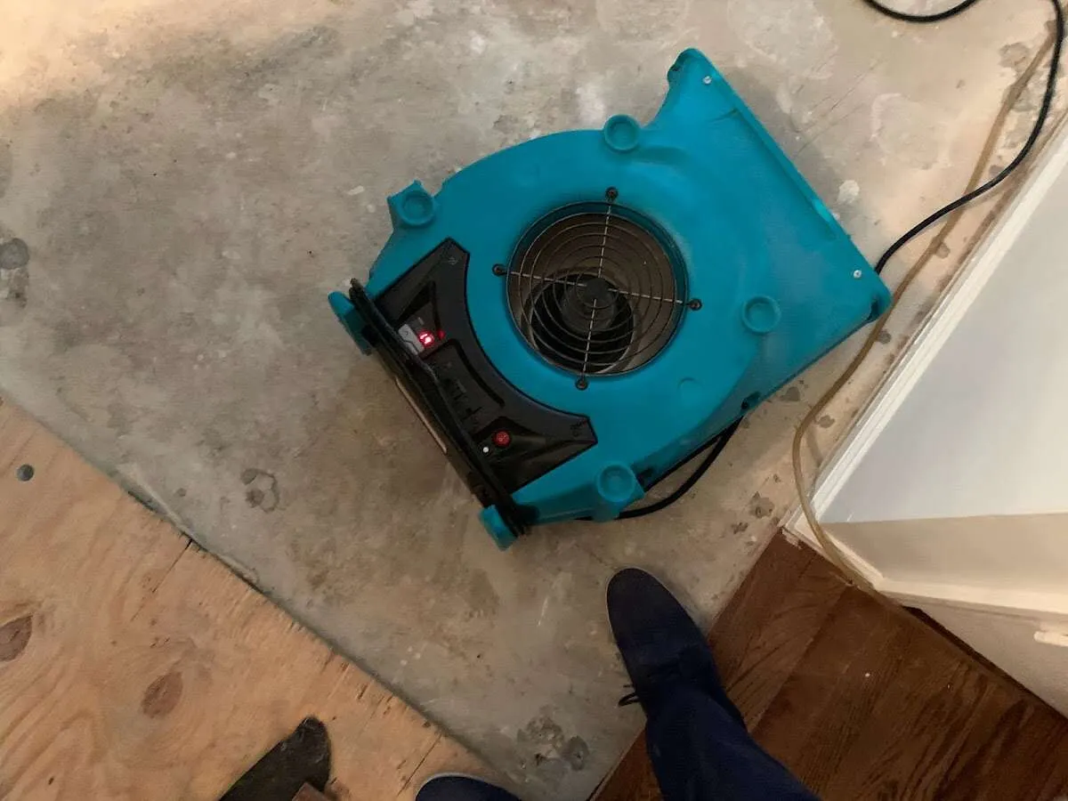 Air mover drying subfloor during Leak Detection & Repair in Olney