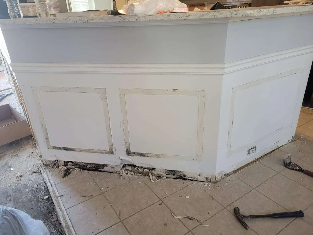 Water damage and mold on kitchen during Sewage Cleanup & Sanitation in Olney